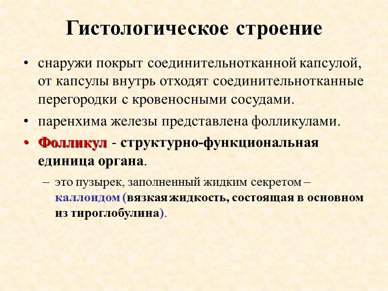 Гистологическое строение  снаружи покрыт соединительнотканной капсулой, от капсулы внутрь отходят соединительнотканные перегородки с
